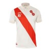 Oficiální Fotbalový Dres FSV Mainz 05 Jubileum 2024-25 pro Muži